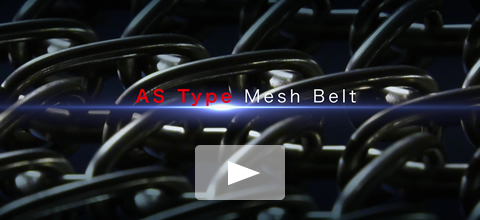 ASメッシュベルト　特願2019-128913